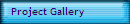 Project Gallery